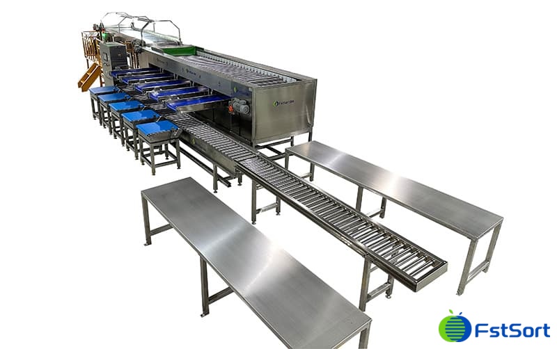 images/1701330619684cherry tomato sorting packing machines.jpg